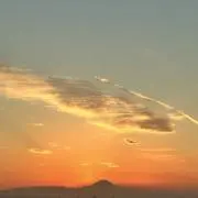 Amelie プロフご覧ください⭐︎の画像