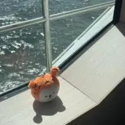 ぽんぽんの画像