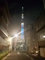 ヤマサンの画像