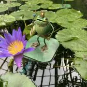 nanananaの画像