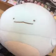 itsukiの画像