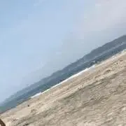 TT·͜·まとめ買い大歓迎です★の画像