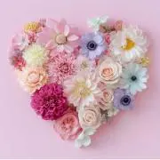 タルト❀✿の画像