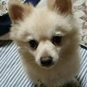 Agatha C