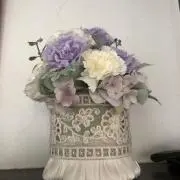 ニーナの画像