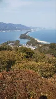 さくらもちの画像