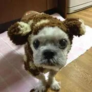 ゆみっぺ