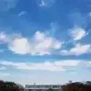 りゅうの画像