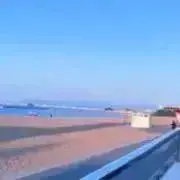 アユユの画像