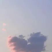 racoの画像