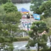 葵