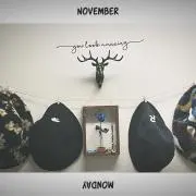 みしぇる