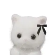 Rの画像