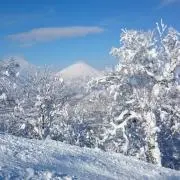 Mayuの画像
