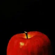 林檎 即決OKです