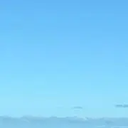 すずめの画像