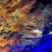 ひななの画像