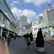 あかさの画像