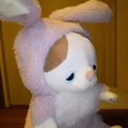 マッピーの画像