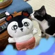 二コプロフ必読(ФωФ)の画像