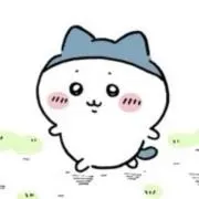 ソイの画像