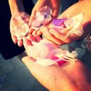 ひま