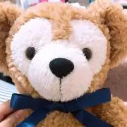 こめちゃんの画像