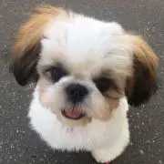 クレア