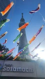 Image of ハル☆断捨離中★お値下げ依頼・ご相談歓迎