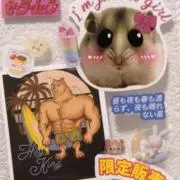まる ⚠プロフ必読の画像
