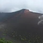 むっくの画像