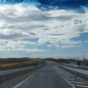 サトウの画像