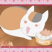 キムにゃんの画像