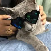 シエルちゃんの画像