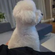 そく