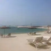 ぽぽの画像