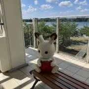 ももこの画像