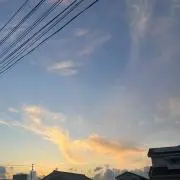 くわ‪︎‬☺︎の画像