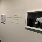 ぱかの画像