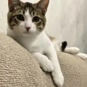 そらそらの画像