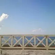 laulea613の画像