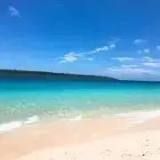 しーの画像