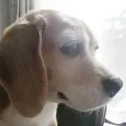 AroomK ＊プロフ必読願います＊の画像