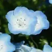 mariの画像