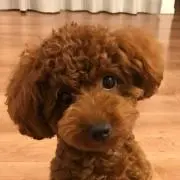 ゆう