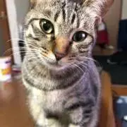 Yukiの画像