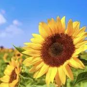 フォロー割2倍開催中♡Happy Dayの画像