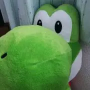 いぐろけの画像