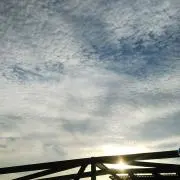 ジス☆の画像