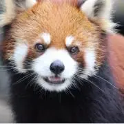 みの画像